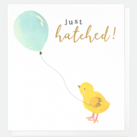 new baby boy card caroline gardner