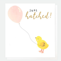 new baby girl card caroline gardner