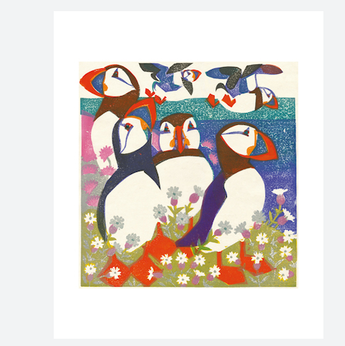 Puffins Greetings Card