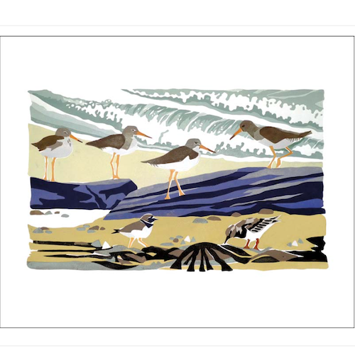 Orkney Shore Greetings Card